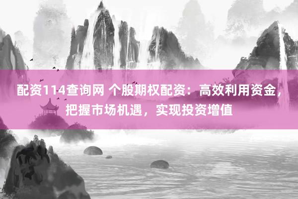 配资114查询网 个股期权配资：高效利用资金，把握市场机遇，实现投资增值