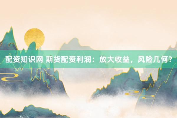 配资知识网 期货配资利润：放大收益，风险几何？