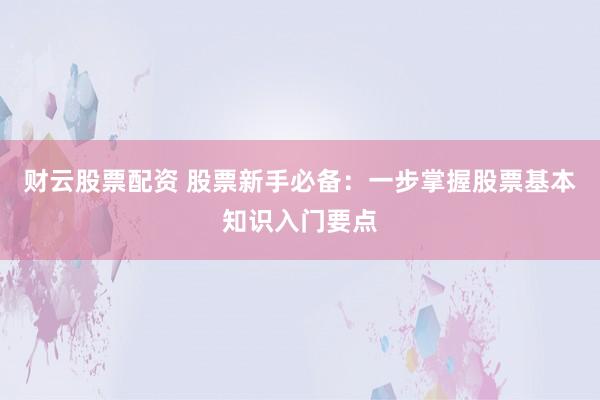 财云股票配资 股票新手必备：一步掌握股票基本知识入门要点