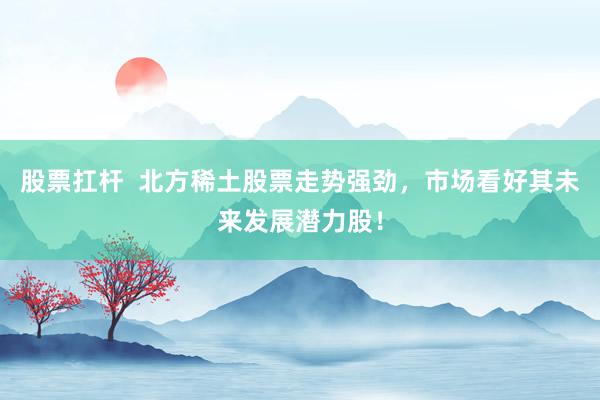 股票扛杆  北方稀土股票走势强劲，市场看好其未来发展潜力股！