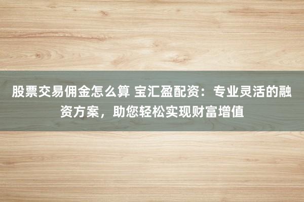 股票交易佣金怎么算 宝汇盈配资：专业灵活的融资方案，助您轻松实现财富增值