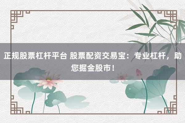 正规股票杠杆平台 股票配资交易宝：专业杠杆，助您掘金股市！