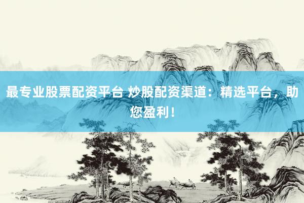 最专业股票配资平台 炒股配资渠道:精选平台,助您盈利!