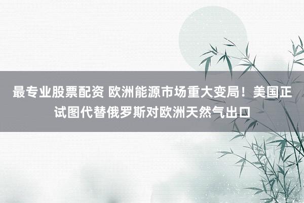 最专业股票配资 欧洲能源市场重大变局！美国正试图代替俄罗斯对欧洲天然气出口