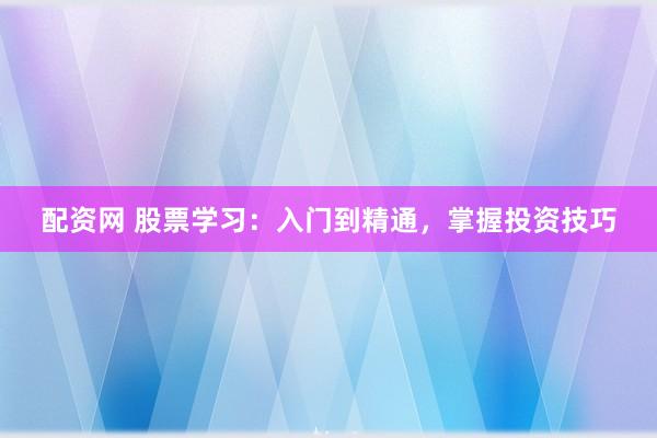 配资网 股票学习:入门到精通,掌握投资技巧